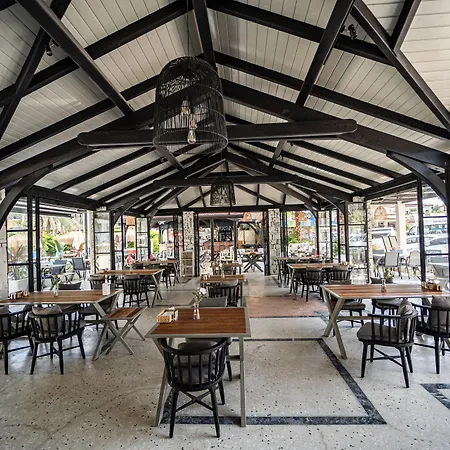 蓝星酒店 3* 厄吕代尼兹