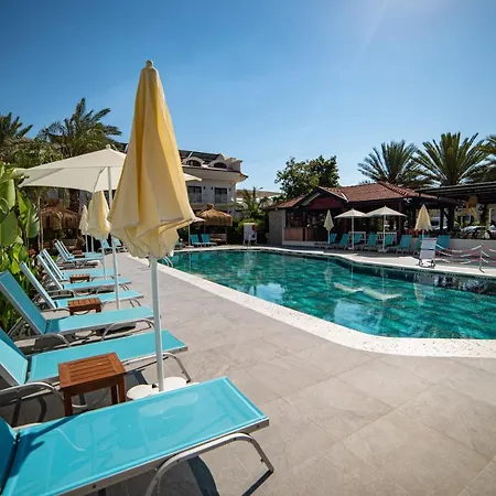 فندق Blue Star 3*