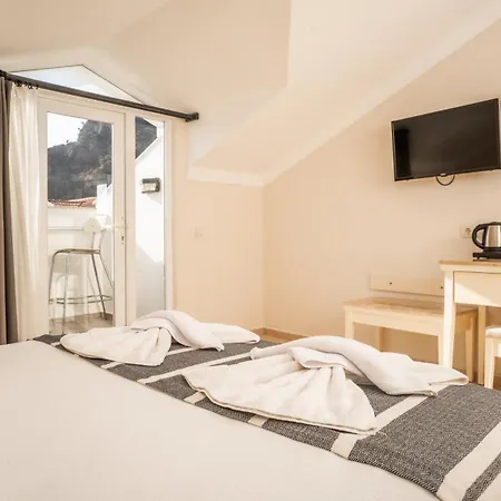 Blue Star מלון אולודניץ