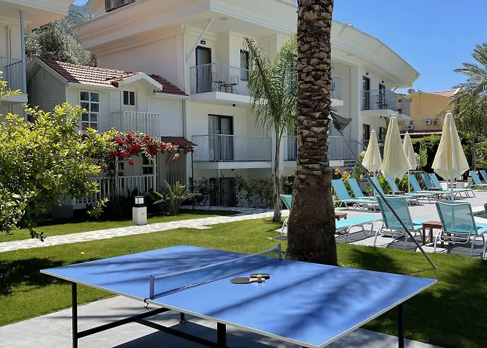 Blue Star 3* Ολουντενίζ