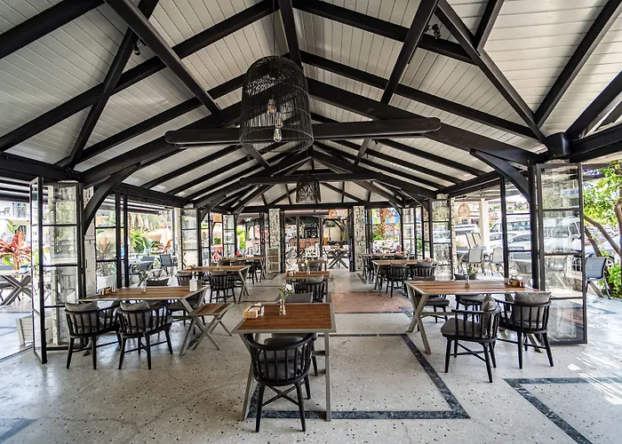 Blue Star 3* Ολουντενίζ